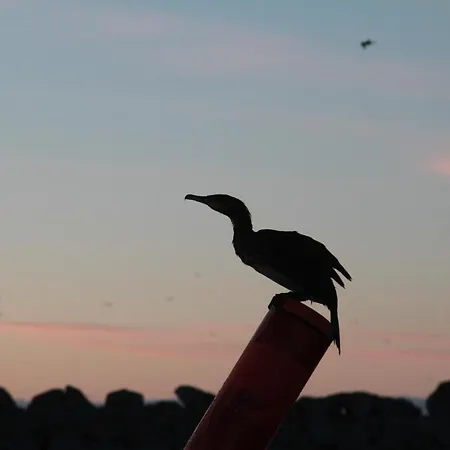 Ellingsen Storgata
